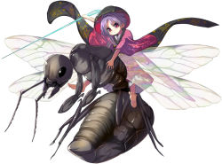 Rule 34 | 1girl, ant, barefoot, bowl, bowl hat, bug, hat, insect, japanese clothes, kimono, long sleeves, looking at viewer, mini person, minigirl, needle, obi, pink eyes, purple hair, riding, sash, solo, sukuna shinmyoumaru, syope, touhou, wide sleeves, wings