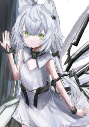 Rule 34 | 1girl, animal ear fluff, animal ears, arknights, bare shoulders, cat ears, colored eyelashes, commentary request, dress, green eyes, grey hair, hair between eyes, hand up, highres, long hair, looking at viewer, low twintails, parted lips, piennamekuzi, rosmontis (arknights), rosmontis (become anew) (arknights), simple background, sleeveless, sleeveless dress, solo, twintails, very long hair, white background, white dress
