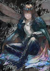 Rule 34 | 1boy, blue eyes, brown hair, cape, collared shirt, crown, fate/grand order, fate (series), fur cape, hand on own knee, highres, insect wings, knee up, looking to the side, male focus, medium hair, oberon (fate), oberon (third ascension) (fate), pants, shirt, sitting, slit pupils, smile, solo, spoilers, wings, xero