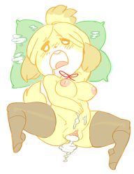 Rule 34 | 1girl, aftersex, animal crossing, black thighhighs, blush, breasts, cum, cum in pussy, cumdrip, fucked silly, furry, inverted nipples, isabelle (animal crossing), nintendo, nipples, noill, nude, open mouth, spread legs, thighhighs
