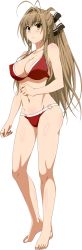Rule 34 | 10s, 1girl, amagi brilliant park, antenna hair, bad id, bad pixiv id, barefoot, bikini, breasts, brown eyes, brown hair, cleavage, feet, full body, hair intakes, highres, large breasts, long hair, looking at viewer, o-ring, o-ring bikini, o-ring top, ponytail, rbnesty, red bikini, sento isuzu, simple background, smile, solo, sweatdrop, swimsuit, toes, white background