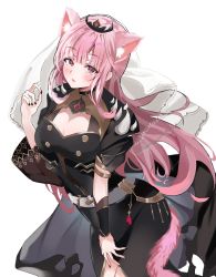 Rule 34 | 1girl, animal ear fluff, animal ears, bad id, bad twitter id, black cape, black dress, black nails, black sleeves, blush, breasts, cape, cat ears, cat girl, cat tail, cleavage, commentary, detached sleeves, dress, english commentary, highres, hololive, hololive english, kbnimated, large breasts, long hair, looking at viewer, mori calliope, nail polish, open mouth, pink hair, red eyes, see-through, see-through sleeves, single sleeve, tail, veil, virtual youtuber