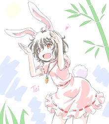 Rule 34 | 1girl, :d, animal ears, arms up, bad id, bad pixiv id, bamboo, black hair, carrot necklace, character name, commentary, dress, frilled dress, frilled sleeves, frills, highres, inaba tewi, jewelry, leaning forward, looking at viewer, necklace, open mouth, pink dress, puffy short sleeves, puffy sleeves, rabbit ears, rabbit girl, rabbit pose, rabbit tail, red eyes, ribbon-trimmed dress, seiran (seiran49hsi), short dress, short hair, short sleeves, smile, solo, standing, tail, touhou, wavy hair