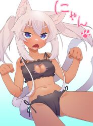 Rule 34 | 1girl, animal ears, bare arms, bare shoulders, black bra, black panties, blue background, blue eyes, blush, bra, breasts, cameltoe, cat cutout, cat ear panties, cat ears, cat girl, cat lingerie, cat tail, cleavage, cleavage cutout, clothing cutout, collarbone, commentary request, fang, frilled bra, frills, gradient background, grey hair, hair between eyes, hands up, highres, long hair, looking at viewer, medium breasts, meme attire, multiple tails, navel, open mouth, original, owasaki, panties, paw pose, side-tie panties, sidelocks, solo, tail, thick eyebrows, twintails, two tails, underwear, underwear only, white background