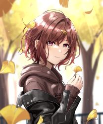 Rule 34 | 1girl, autumn leaves, blurry, blurry background, brown eyes, brown hair, commentary request, ginkgo leaf, hair ornament, hairclip, highres, higuchi madoka, holding, holding leaf, hood, hoodie, idolmaster, idolmaster shiny colors, jacket, junshiki, leaf, looking at viewer, mole, mole on cheek, short hair, signature, solo, tree