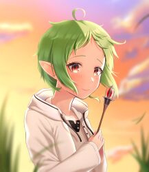 Rule 34 | 1girl, ahoge, closed mouth, cloud, elf, evening, green hair, hands up, highres, holding, holding wand, hood, hooded jacket, jacket, mushoku tensei, outdoors, phoebe (pixiv 55159801), pointy ears, red eyes, shirt, short hair, smile, solo, sylphiette (mushoku tensei), wand, white jacket, white shirt