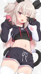 Rule 34 | 1girl, ;o, animal ear legwear, animal ears, black hoodie, black shorts, brown hair, cat ear legwear, cellphone, commentary request, crop top, drawstring, fang, grey background, groin, hands up, highres, holding, holding phone, hood, hood down, hoodie, long hair, long sleeves, midriff, nail polish, navel, one eye closed, open mouth, original, phone, pink nails, puffy long sleeves, puffy sleeves, red eyes, short shorts, shorts, simple background, sleeves past wrists, solo, standing, tail, thighhighs, two side up, ug (nekonekodou), very long hair, white thighhighs