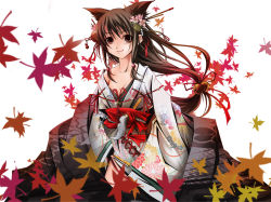 Rule 34 | animal ears, autumn, autumn leaves, brown eyes, brown hair, cat ears, japanese clothes, leaf, maple leaf, solo