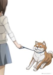 Rule 34 | 10s, 1girl, blue skirt, blurry, blurry foreground, brown hair, casual, collar, commentary request, depth of field, dog, girls und panzer, leash, long sleeves, miniskirt, nishizumi maho, one-hour drawing challenge, pet walking, shiba inu, shibagami, shirt, simple background, skirt, solo, standing, striped clothes, striped shirt, twitter username, white background, white shirt