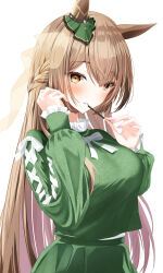 Rule 34 | 1girl, absurdres, animal ears, blush, brown hair, commentary request, ear ornament, food, frilled shirt, frills, green shirt, green skirt, hair between eyes, highres, holding, holding food, holding pocky, horse ears, horse girl, long hair, long sleeves, looking at viewer, nail polish, pink nails, pocky, satono diamond (umamusume), shirt, simple background, skirt, solo, umamusume, upper body, vami, very long hair, white background, yellow eyes