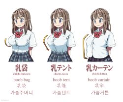 Rule 34 | 1girl, arms behind back, bad id, bad pixiv id, blue eyes, blush, bow, breasts, brown hair, buttons, chinese text, collared shirt, english text, highres, impossible clothes, impossible shirt, korean text, large breasts, long hair, mixed-language text, multilingual, multiple views, original, pleated skirt, red bow, red neckwear, school uniform, shapoco, shirt, shirt tucked in, short sleeves, simple background, skirt, smile, standing, text focus, twitter username, uniform, untucked shirt, upper body, white background, white shirt