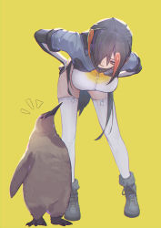 Rule 34 | 1girl, absurdres, asymmetrical hair, bent over, bird, black footwear, black gloves, black hair, boots, breasts, brown eyes, commentary, don3, elbow gloves, full body, gloves, hair over one eye, hands on own hips, headphones, highres, jacket, kemono friends, king penguin (kemono friends), large breasts, leaning forward, multicolored clothes, multicolored hair, multicolored jacket, notice lines, open mouth, orange hair, penguin, penguin print, short hair, simple background, smile, solo, standing, streaked hair, thighhighs, thighs, two-tone hair, white gloves, white thighhighs, yellow background, zipper, zipper legwear