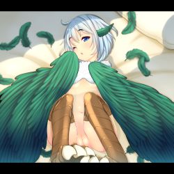 Rule 34 | 1girl, animal ears, bed, blue eyes, blush, bottomless, breasts, claws, feathered wings, feathers, harpy, highres, kiyomin, letterboxed, looking at viewer, lying, monster girl, navel, on back, one eye closed, original, pillow, pussy, short hair, silver hair, small breasts, solo, underboob, winged arms, wings, wink