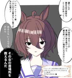 Rule 34 | 1girl, absurdres, agnes tachyon (umamusume), angry, animal ears, black eyes, brown hair, check commentary, commentary request, eyebrows hidden by hair, grey background, hair between eyes, highres, horse ears, horse girl, kaname aizuki, looking at viewer, purple shirt, sailor collar, school uniform, shirt, short hair, solo, tracen school uniform, translation request, umamusume