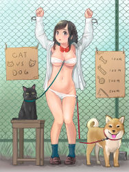 Rule 34 | 1girl, bdsm, black eyes, black hair, blush, bondage, bound, bound wrists, bow, bowtie, bra, braid, breasts, cardboard, cat, cleavage, commentary request, dog, fence, himeshaga, large breasts, leash, looking at viewer, medium breasts, navel, open clothes, open mouth, open shirt, original, panties, panty pull, predicament bondage, shoes, smile, socks, solo, standing, stool, strapless, strapless bra, underwear