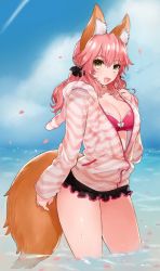 Rule 34 | 10s, 1girl, :d, animal ear fluff, animal ears, bikini, blush, breasts, cleavage, cloud, day, fang, fate/extra, fate/extra ccc, fate (series), fox ears, fox tail, hood, hoodie, large breasts, long hair, looking at viewer, miyako (xxxbibit), official alternate costume, open mouth, outdoors, pink bikini, pink hair, revision, smile, solo, swimsuit, tail, tamamo (fate), tamamo no mae (fate/extra), tamamo no mae (spring casual) (fate), water, yellow eyes, zipper