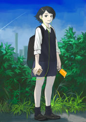 Rule 34 | 1girl, absurdres, arms at sides, black eyes, black footwear, black hair, black socks, black vest, blue skirt, blush, cellphone, commentary request, contrail, dripping, earbuds, earphones, food, full body, grass, headphones, highres, holding, holding phone, loafers, long sleeves, original, phone, pleated skirt, popsicle, shirt, shoes, short hair, skirt, sleeves rolled up, smile, socks, solo, standing, summer, swept bangs, turquoise iro, vest, white shirt, wing collar
