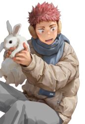 Rule 34 | 1boy, animal, beitemian, coat, earmuffs, holding, holding animal, itadori yuuji, jujutsu kaisen, long sleeves, looking to the side, male focus, pink hair, rabbit, scarf, short hair, simple background, solo, spiked hair, undercut, white background, winter clothes, winter coat, yellow eyes