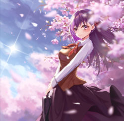Rule 34 | 1girl, augu (523764197), bad id, bad pixiv id, blue sky, blurry, blurry background, blurry foreground, blush, breasts, briefcase, brown vest, cherry blossoms, collared shirt, day, depth of field, fate/stay night, fate (series), flat chest, from side, hair ribbon, highres, holding, homurahara academy school uniform, lens flare, lips, long hair, long skirt, long sleeves, looking at viewer, looking to the side, matou sakura, medium breasts, neck ribbon, outdoors, purple eyes, purple hair, purple skirt, red ribbon, revision, ribbon, school briefcase, school uniform, shirt, skirt, sky, solo, straight hair, sun, sunlight, two-handed, vest, white shirt, wing collar