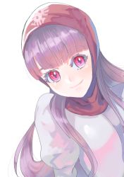 Rule 34 | 1girl, closed mouth, dragon quest, dragon quest ii, hood, kei (desafinado), long hair, looking at viewer, princess of moonbrook, purple eyes, purple hair, simple background, smile, solo, straight hair, white background