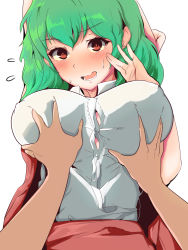 Rule 34 | 1girl, bad id, bad pixiv id, blush, grabbing another&#039;s breast, breasts, covered erect nipples, grabbing, green hair, hekiga (freelot), highres, kazami yuuka, large breasts, looking at viewer, no bra, open mouth, pov, pov hands, puffy nipples, red eyes, revision, shirt, short hair, simple background, sweat, sweatdrop, teeth, tongue, touhou, white background, white shirt