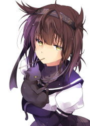 Rule 34 | 10s, 1girl, animal, black cat, black gloves, brown hair, cat, clothes writing, food, food in mouth, from above, gloves, hairband, hatsuzuki (kancolle), holding, holding animal, kantai collection, konataeru, mouth hold, pocky, pointy hair, school uniform, serafuku, short sleeves, simple background, solo, turtleneck, unsinkable sam, upper body, white background, yellow eyes