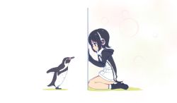 Rule 34 | 10s, 1girl, anime coloring, bird, black footwear, black gloves, boots, closed mouth, commentary request, from side, gloves, grape-kun, happy, headphones, hood, hood down, hoodie, humboldt penguin, humboldt penguin (kemono friends), kemono friends, multicolored hair, penguin, penguin tail, shoes, short hair, sitting, smile, streaked hair, tail, tomato (lsj44867), wariza