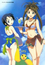 Rule 34 | 2girls, akamatsu ken, ass, beach, bikini, blue eyes, blue hair, blue one-piece swimsuit, bob cut, breasts, brown eyes, brown hair, cloud, dated, day, food, front-tie bikini top, front-tie top, happy, ice cream, jewelry, large breasts, long hair, looking at viewer, looking back, love hina, maehara shinobu, multiple girls, narusegawa naru, necklace, official art, one-piece swimsuit, open mouth, outdoors, sarong, short hair, sky, smile, standing, swimsuit, tama (love hina), turtle, uno makoto