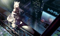 Rule 34 | 1girl, animal ears, black shirt, building, cityscape, expressionless, fox ears, fox girl, fox tail, from above, highres, looking at viewer, neon lights, niac, original, pants, shirt, skyscraper, solo, tail, white hair, white pants