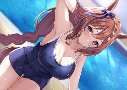Rule 34 | 1girl, animal ears, armpits, bare arms, bare shoulders, black one-piece swimsuit, blue one-piece swimsuit, blush, bow, braid, braided ponytail, breasts, brown hair, cleavage, collarbone, ear bow, hair between eyes, harimoji, horse ears, horse girl, horse tail, large breasts, long hair, one-piece swimsuit, pool, purple eyes, solo, super creek (umamusume), swimsuit, tail, thighs, umamusume, wet, wet clothes, wet swimsuit