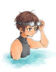 Rule 34 | 1boy, alec (arc the lad), arc s0222, arc the lad, arc the lad iii, brown eyes, brown hair, closed mouth, commentary request, goggles, male focus, simple background, smile, solo, upper body, water, white background