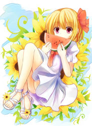 Rule 34 | 1girl, alternate costume, barefoot, blonde hair, blue sky, cloud, covering own mouth, feet, female focus, floral background, flower, food, fruit, hair ribbon, looking at viewer, melon, puffy sleeves, purple eyes, ribbon, rumia, sandals, short hair, short sleeves, sky, solo, touhou, watermelon, white legwear, wide-eyed, yuuhagi (amaretto-no-natsu)
