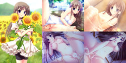 Rule 34 | 00s, 1boy, 1girl, against wall, arm support, arm up, atelier kaguya, bare legs, bare shoulders, bath, bathroom, bathtub, bedroom, bleeding, blood, blue eyes, blue sky, blush, breast hold, breast press, breasts, breasts squeezed together, brown hair, bukkake, casual, casual one-piece swimsuit, ceiling, censored, center opening, choco chip, cleavage, closed mouth, clothed sex, clothing aside, cloud, collage, collarbone, completely nude, couple, crossed arms, crotch, cum, cum in pussy, cum on body, cum on hair, cum on lower body, cum on upper body, dappled sunlight, day, defloration, dress, dutch angle, erection, eyelashes, facial, feet out of frame, flower, foot grab, forest, frilled dress, frilled skirt, frills, frown, futon, game cg, girl on top, grabbing, grass, groin, hair between eyes, hand on own chest, hetero, highres, indoors, japanese clothes, knee up, large breasts, leaf, leggings, lens flare, light rays, lips, long hair, looking at another, looking at viewer, lower body, lying, medium breasts, miko, missionary, moonlight, mosaic censoring, mountain, multiple views, nature, navel, night, nipples, nude, off shoulder, on back, one-piece swimsuit, onsen, open mouth, outdoors, cum overflow, own hands clasped, own hands together, partially submerged, penis, plant, pleated skirt, pov, pov hands, puddle, pussy, ribbon, river, rock, sara sara sasara, sex, shade, shirotae mahiru, short sleeves, sitting, skirt, sky, sleeveless, small breasts, smile, soaking feet, spooning, spread legs, standing, stomach, straddling, string, sunbeam, sunflower, sunlight, sunset, sweat, sweatdrop, swimsuit, swimsuit aside, thighs, tongue, tree, underwater, vaginal, very long hair, wall, water, water drop, water surface, wet, white dress, white one-piece swimsuit, wooden ceiling, wooden wall
