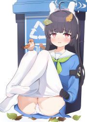 Rule 34 | 1girl, @ @, absurdres, ahoge, animal ears, ass, bird, black gloves, black hair, blue archive, blue shirt, blue skirt, blunt bangs, cameltoe, fake animal ears, foreshortening, full body, gloves, green neckerchief, halo, highres, hime cut, iyo231, leaf, leaf on head, long hair, long sleeves, looking at viewer, miyu (blue archive), neckerchief, no shoes, open mouth, panties, panties under pantyhose, pantyhose, pink eyes, polka dot, polka dot panties, rabbit ears, sailor collar, shirt, simple background, skirt, soles, solo, trash can, underwear, white background, white panties, white pantyhose
