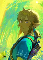 Rule 34 | 1boy, blonde hair, blue eyes, blue tunic, braid, closed mouth, commentary, earrings, english commentary, english text, highres, jewelry, link, looking at viewer, male focus, nintendo, pointy ears, shirt, short hair, solo, the legend of zelda, the legend of zelda: breath of the wild, tunic, upper body, veron 1411