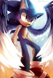 Rule 34 | 1boy, animal ears, artist name, blue background, blue hair, blue sky, closed mouth, day, feathered wings, feathers, furry, furry male, gloves, gradient background, green eyes, highres, male focus, outdoors, red footwear, shoes, simple background, sky, socks, solo, sonic (series), sonic the hedgehog, spacecolonie, standing, tail, tumblr username, white gloves, white socks, wings