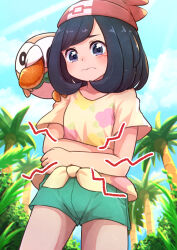 Rule 34 | 1girl, beanie, black hair, blush, closed mouth, cloud, commentary request, creatures (company), day, eyelashes, floral print, frown, game freak, gen 7 pokemon, green shorts, hat, highres, kotobukkii (yt lvlv), looking at viewer, nintendo, on shoulder, outdoors, palm tree, pokemon, pokemon (creature), pokemon on shoulder, pokemon sm, red headwear, rowlet, selene (pokemon), shirt, short shorts, short sleeves, shorts, sky, stomach growling, t-shirt, tied shirt, tree