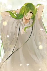 Rule 34 | 1other, androgynous, arms up, ashino, collarbone, commentary request, enkidu (fate), eyelashes, fate/strange fake, fate (series), green eyes, green hair, hair over one eye, hands in hair, highres, hood, hood down, hooded robe, light particles, long hair, looking at viewer, parted lips, robe, solo, standing, straight hair, very long hair, white robe