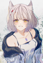 Rule 34 | 1girl, animal ears, bare shoulders, blush, breasts, cat ears, collarbone, commentary request, dress, grey hair, highres, jacket, looking at viewer, medium breasts, mio (xenoblade), oas, off shoulder, open clothes, open jacket, short hair, smile, solo, teeth, twitter username, upper body, white dress, white jacket, xenoblade chronicles (series), xenoblade chronicles 3, yellow eyes, zipper