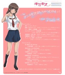 Rule 34 | 1girl, blue skirt, blunt bangs, braid, brown eyes, brown hair, full body, hair over shoulder, kimi kiss, kneehighs, loafers, mizusawa mao, necktie, pink background, pleated skirt, red necktie, school uniform, serafuku, shoes, simple background, skirt, socks, solo, standing, takayama kisai, text focus, twin braids, twintails, wall of text, white background
