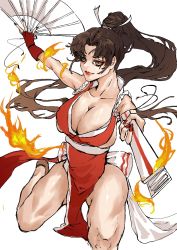 Rule 34 | 1girl, breasts, fatal fury, fire, large breasts, ponytail, shiranui mai, solo