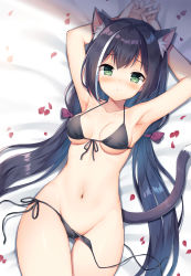 Rule 34 | 1girl, animal ear fluff, animal ears, armpits, arms up, bare arms, bare shoulders, bed sheet, bikini, black bikini, black hair, breasts, cameltoe, cat ears, cat girl, cat tail, collarbone, commentary request, front-tie bikini top, front-tie top, green eyes, groin, halterneck, highres, karyl (princess connect!), long hair, looking at viewer, low twintails, lying, mauve, medium breasts, multicolored hair, navel, on back, petals, princess connect!, side-tie bikini bottom, solo, stomach, streaked hair, swimsuit, tail, thigh gap, thighs, twintails, untied bikini, very long hair