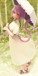 Rule 34 | 1girl, :o, absurdres, ahoge, animal ear fluff, animal ears, cat ears, dress, eyelashes, fang, feet, flower, forest, highres, hololive, huge filesize, looking at viewer, nanome to, nature, nekomata okayu, open mouth, outdoors, purple eyes, purple hair, sandals, short hair, solo, standing, tail, toes, tree, umbrella, virtual youtuber, white dress