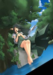 Rule 34 | 1girl, black hair, dress, elf, forest, hino akira, music, nature, original, outdoors, pointy ears, river, singing, sky, solo