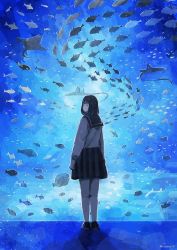 Rule 34 | 1girl, aquarium, arms at sides, artist name, black hair, blue theme, commentary request, fish, long sleeves, looking back, manta ray, medium hair, nomiya (no 38), original, pleated skirt, school uniform, shirt, shoes, skirt, socks, standing, water, watermark, white legwear, white shirt