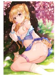 Rule 34 | 1girl, absurdres, ass, bare shoulders, blonde hair, blue skirt, blush, bra, breasts, bush, cat, cherry blossoms, choker, closed mouth, dappled sunlight, day, flower, frilled choker, frills, grass, hair between eyes, hair ornament, hair scrunchie, highres, holding, holding flower, kneehighs, lace, lace panties, large breasts, leaf, long hair, long sleeves, looking at viewer, lying, medium breasts, melonbooks, navel, nipples, non-web source, omelet tomato, on side, open clothes, open shirt, original, outdoors, panties, petals, scan, school uniform, scrunchie, serafuku, shade, sidelocks, skirt, socks, solo, sunlight, thigh strap, thighs, tree, tree shade, two side up, under tree, underwear, white choker, white panties, white socks, yellow eyes