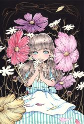 Rule 34 | 1girl, apron, blue dress, blue eyes, blunt bangs, blush, brown hair, closed mouth, cosmos (flower), dark background, dress, flower, hair flower, hair ornament, highres, holding, holding flower, long hair, looking at viewer, marker (medium), original, painting (medium), pink flower, purple flower, red flower, short sleeves, solo, striped clothes, striped dress, tpamjdsta (usatokurasu), traditional media, twintails, waist apron, watercolor (medium), white apron, white flower, yellow flower