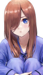 Rule 34 | 1girl, :t, absurdres, blue eyes, blush, brown hair, buttons, closed mouth, collarbone, commentary request, go-toubun no hanayome, hair over one eye, hands on own knees, highres, ishiyuki, knees up, long hair, long sleeves, looking at viewer, nakano miku, pajamas, pants, pout, purple pants, purple shirt, revision, shirt, simple background, sitting, solo, white background
