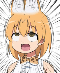 Rule 34 | 10s, 1girl, ahegao, animal ears, bow, bowtie, cat ears, commentary request, emphasis lines, kemono friends, open mouth, orange hair, rolling eyes, serval (kemono friends), serval print, short hair, solo, solo focus, super masara, yellow eyes