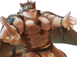 Rule 34 | 1boy, abs, animal ears, bara, bare pectorals, blush, bulge, chest hair, chillasan, cowboy shot, furry, furry male, gakuran, grey fur, grey hair, headband, horkeu kamui, jacket, jacket on shoulders, large pectorals, looking at viewer, male focus, multicolored hair, muscular, navel, nipples, outstretched arms, pectorals, pelvic curtain, revealing clothes, school uniform, short hair, smile, solo, spread arms, stomach, tail, thick thighs, thighs, tokyo houkago summoners, two-tone fur, white fur, wolf boy, wolf ears, wolf tail, yellow eyes